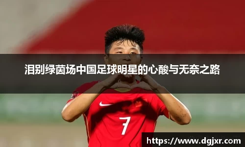 泪别绿茵场中国足球明星的心酸与无奈之路